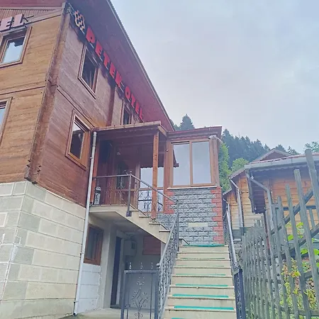 Ayder Petek Apart Çamlıhemşin
