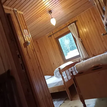 Ayder Petek Apart * Çamlıhemşin