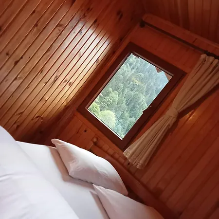 Ayder Petek Apart Bed & Breakfast Çamlıhemşin