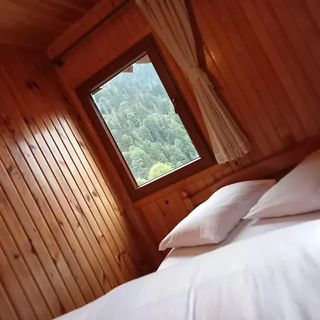 Bed & Breakfast Ayder Petek Apart Çamlıhemşin