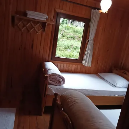 Ayder Petek Apart Çamlıhemşin