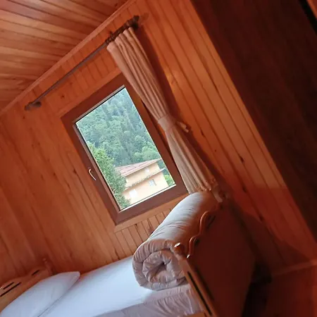 Bed & Breakfast Ayder Petek Apart *